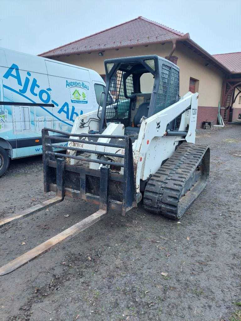 Bobcat